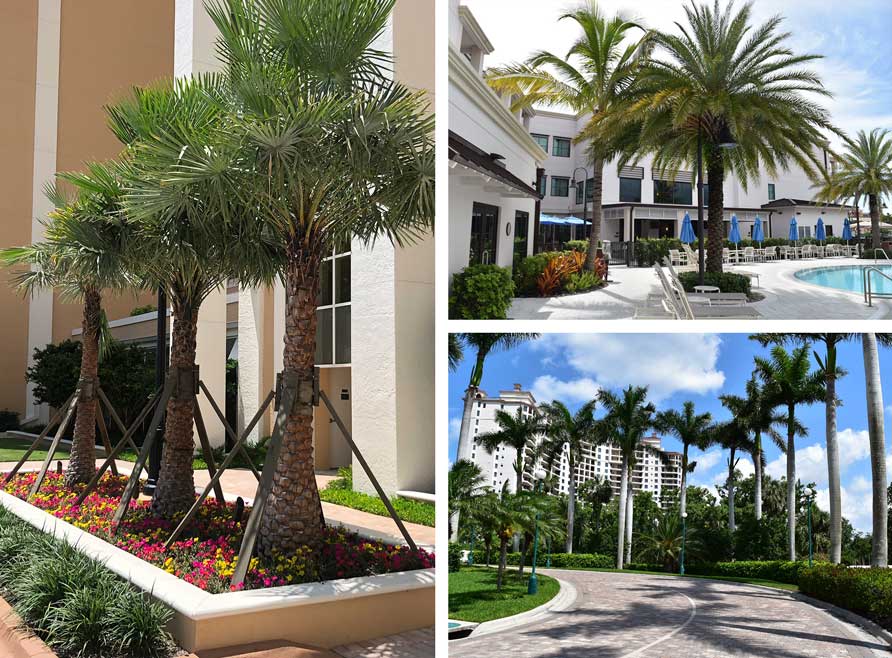 Landscape design for HOAs, Condominiums and Commercial Properties | Southwest Florida Landscape Design and Maintenance