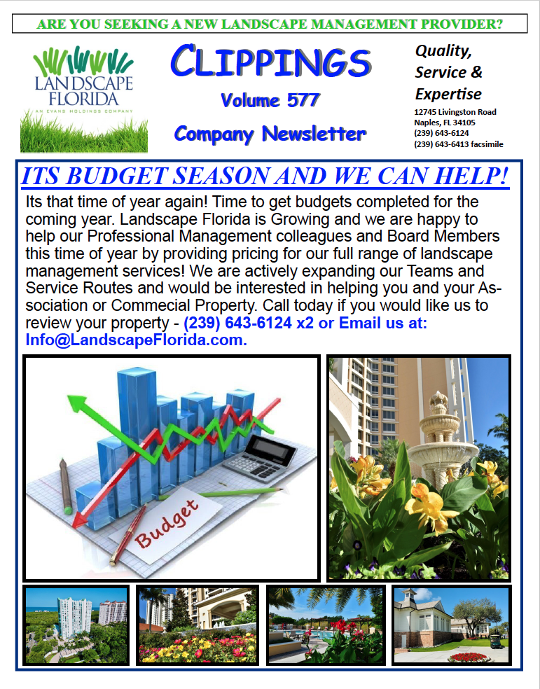 Volume 577 | Landscape Florida