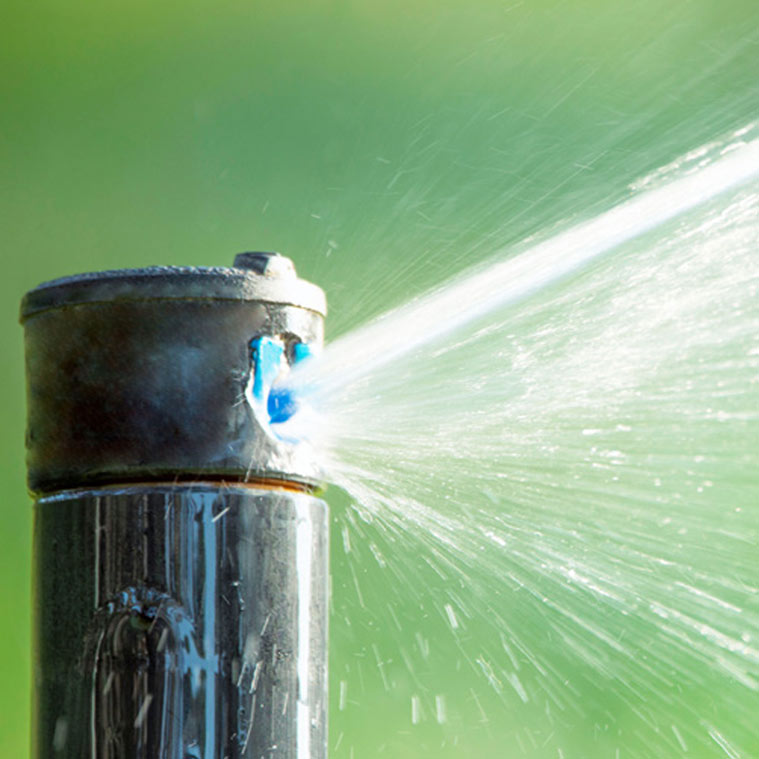 Active sprinkler head | Irrigation Services Landscape Florida