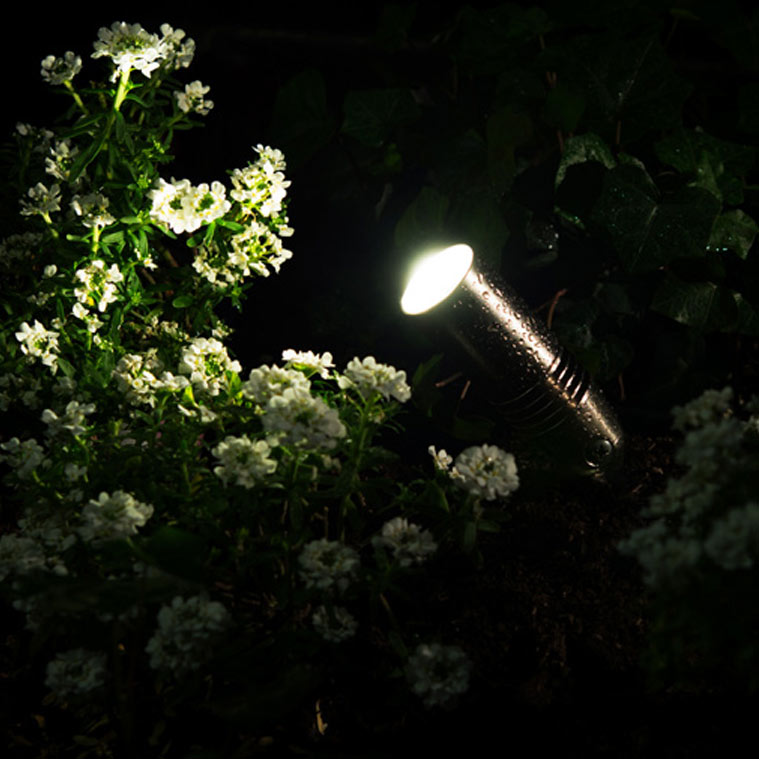 Plant with outdoor lighting | Outdoor Lighting Services Landscape Florida