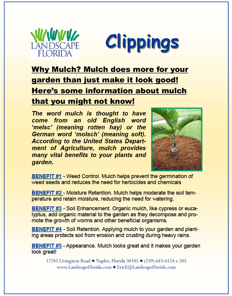 Why Mulch | Landscape Florida