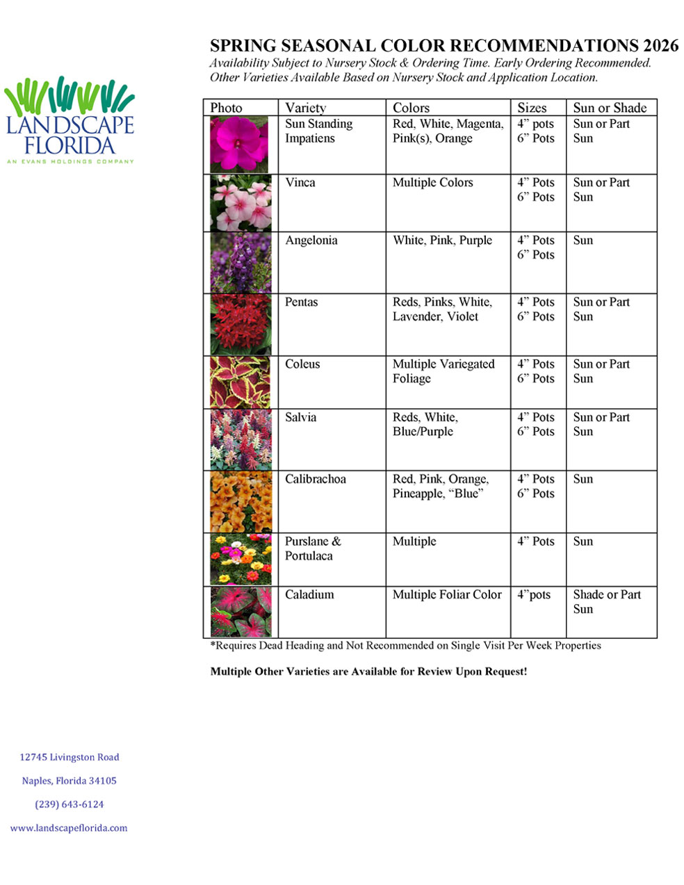 Spring 2025 Seasonal Color Recommendations